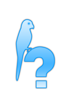 Qui est en ligne ?